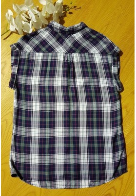 RAILS Britt - Blue, White Green with Red Stripes Check Shirt (Sleeveless)